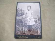 FOTOGRAFIA ORIGINALE FINE '800 ATELIER FOTOGRAFICO SEBASTIANUTTI-BENQUE-TRIESTE comprar usado  Enviando para Brazil