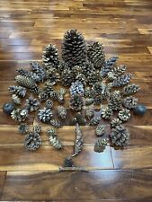 Lot pine cones for sale  La Grange