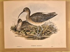 Rare orig handcld d'occasion  Expédié en Belgium