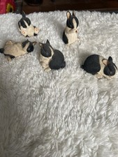 Sherratt simpson bunnies for sale Sherratt simpson bunnies for sale  OKEHAMPTON
