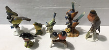 bird collection ornaments for sale bird collection ornaments for sale BURY ST. EDMUNDS