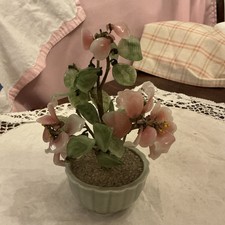 bonsai collection for sale  POOLE