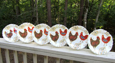 Pier gallo chicken for sale  Hot Springs Village