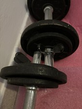 Manubri pesi 15kg usato  Pistoia