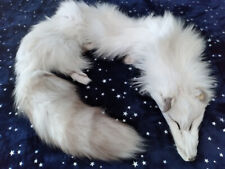 Snowglow ranch fox for sale  Culver City