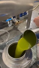 Olio extravergine oliva usato  Cerignola