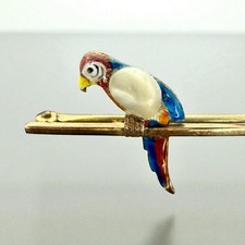 Antique macaw parrot for sale  CHESTERFIELD