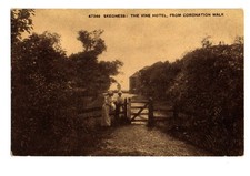 Lincolnshire. skegness. vine for sale  YORK