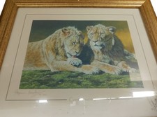 Stephen gayford contentment for sale  WORTHING
