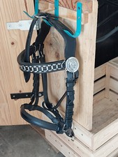 scheuklappen gebraucht kaufen scheuklappen gebraucht kaufen Deutschland