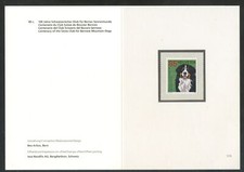 2007 bovaro bernese usato  Como