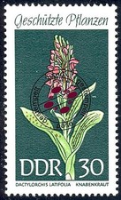 1461 heimische pflanzen gebraucht kaufen 1461 heimische pflanzen gebraucht kaufen  Schwalmtal