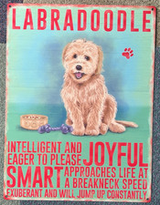 Golden labradoodle metal for sale  YORK