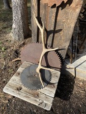 Naturally shed elk for sale  Naples