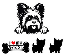 Yorkie yorkshire terrier for sale  Webster