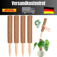 Kokosfaser moosstab stück gebraucht kaufen  Delmenhorst