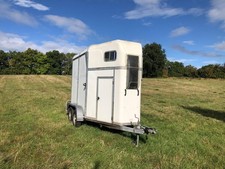 Bateson boston horse for sale  MONMOUTH