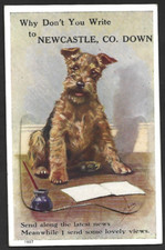 View pull postcard for sale  CRAIGAVON