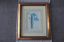 pierre joseph redoute for sale pierre joseph redoute for sale CARLISLE