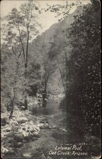 Cartão postal Oak Creek AZ Lolomai Pool c1910 comprar usado  Enviando para Brazil