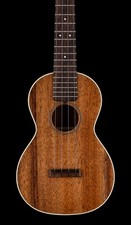 Martin concert ukulele for sale  Pittsburgh