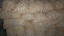 Patate semina usato  San Benedetto dei Marsi