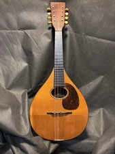 Martin mandolin 1927 for sale  Iron Mountain