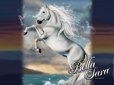 Bella sara choose for sale  Lutherville Timonium