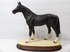 Black beauty stallion for sale  Yalaha