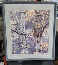 Rod frederick autumn for sale  Carson City