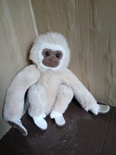 Nature planet monkey for sale Nature planet monkey for sale  DORCHESTER