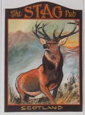 The stag mini gebraucht kaufen  Versand nach Germany