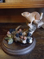 Harvest mice blackberries for sale  SOUTHPORT