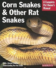 Corn snakes rat for sale  UK