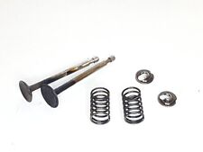 Soupapes moteur briggs d'occasion  La Chevrolière