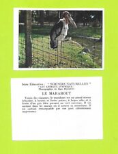 Vignette marabout d'occasion  Nancy-