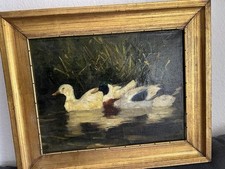 Enten bild goldenem gebraucht kaufen  Freudenstadt