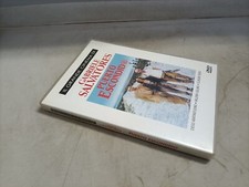 Dvd puerto escondido usato  Cassina de' Pecchi