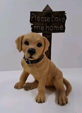 Leonardo collection dog for sale  CARLISLE
