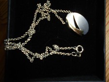 Damenkette edelstahl anhänger gebraucht kaufen Damenkette edelstahl anhänger gebraucht kaufen  Stadtkyll