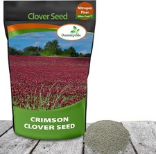 Outsidepride crimson clover for sale  Lakewood