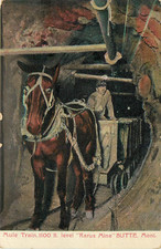 Mule train. 1100 for sale  Glendale