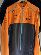 Formula one mclaren for sale  GOSPORT