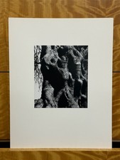 Aaron siskind olive for sale  Cambridge