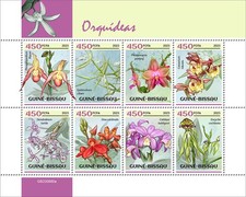 Orchidee usato  Spedire a Italy