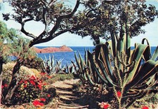 Esterel d'occasion  France
