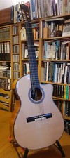 Electro acoustic nylon for sale  HAYLING ISLAND