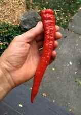 Jimmy nardello pepper for sale  Julian