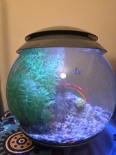 white fish tank for sale white fish tank for sale BRIGHTON