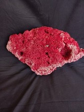 Natural authentic red for sale  Statesville